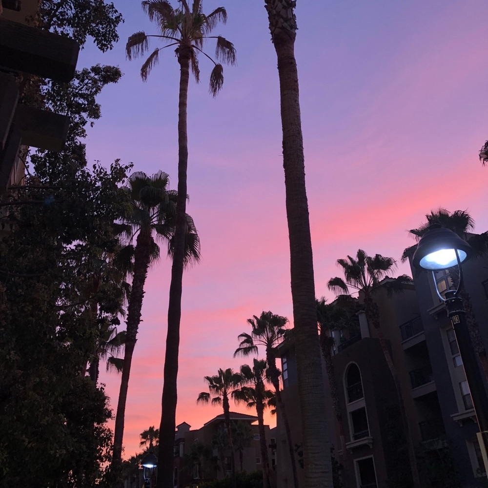 Meet your Posher, Daniela